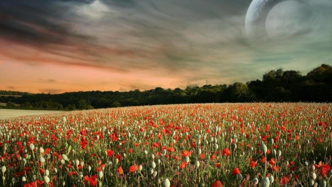 为啥 php 还有这么多人在用啊?